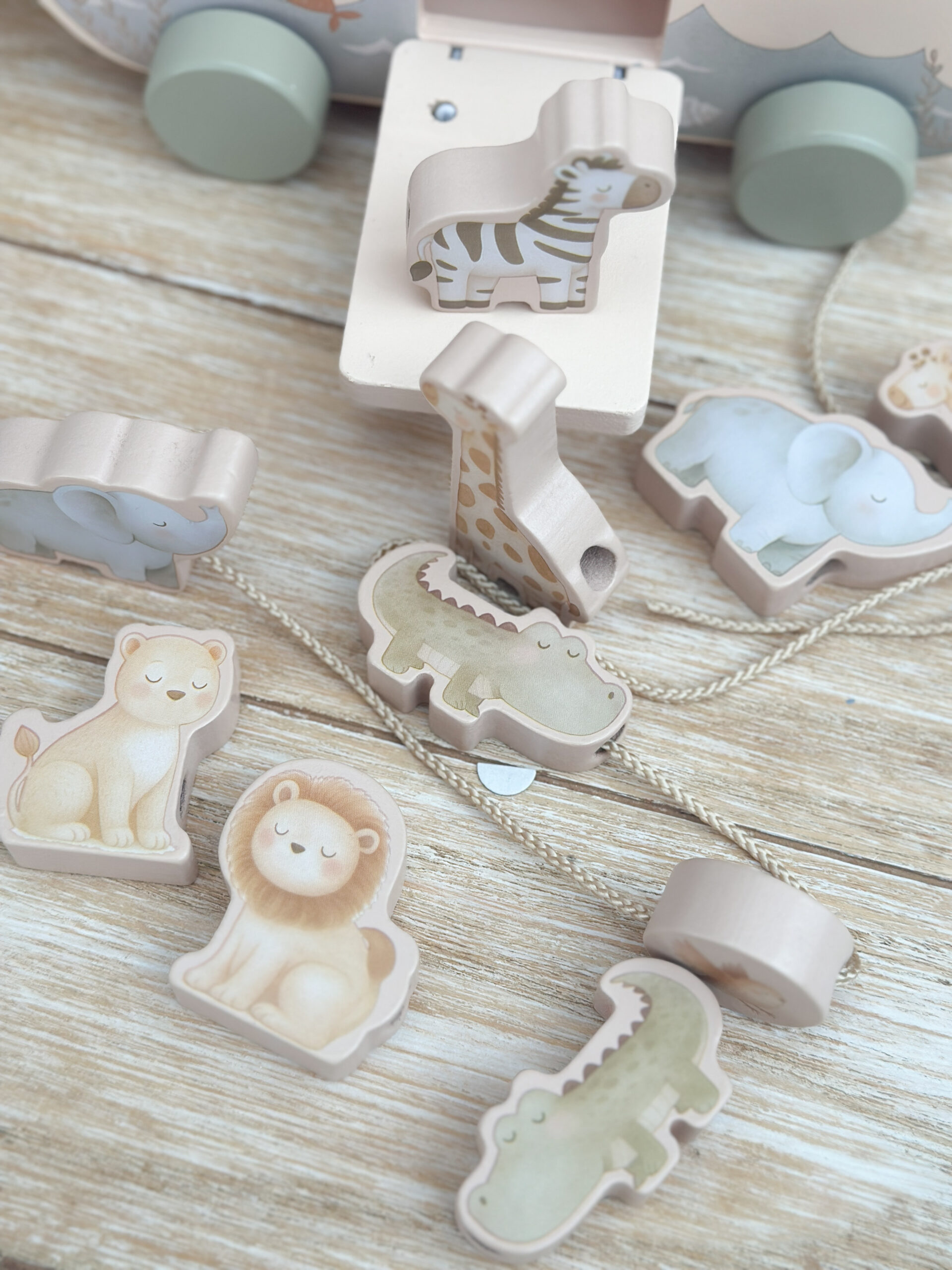 Arche Noah – Bild 5